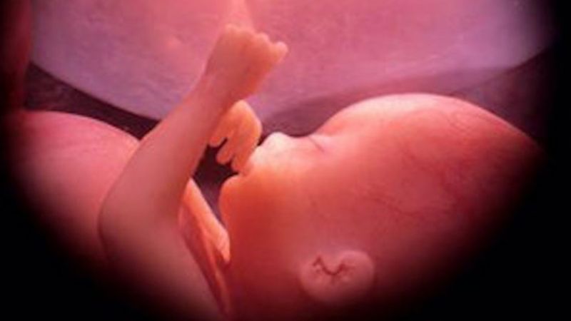 Actividades preparando el Día del Niño por Nacer