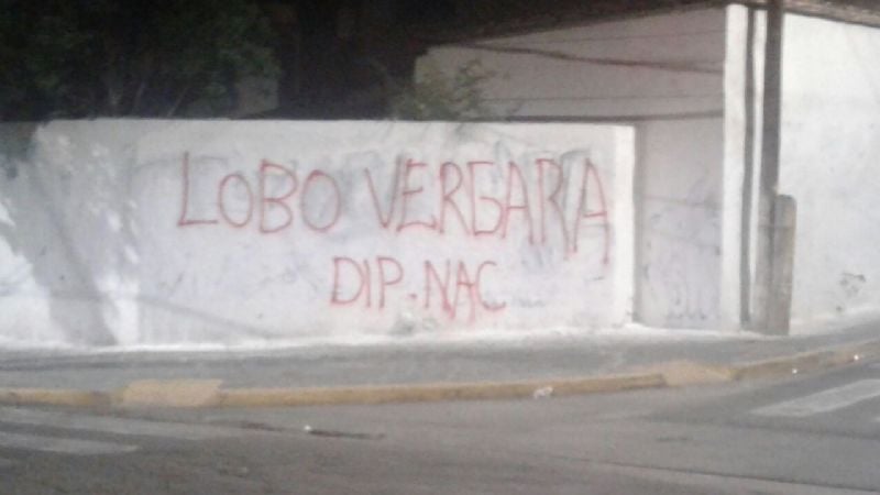 ¿Lobo Vergara al Congreso Nacional?