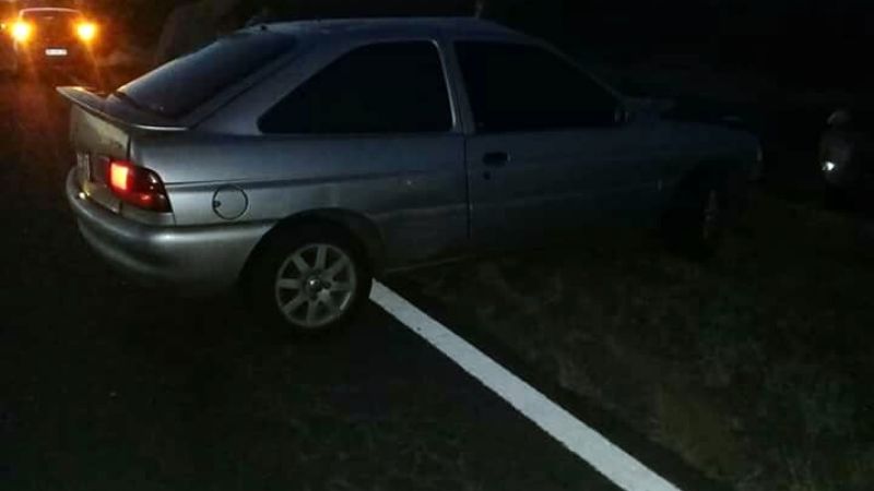 Accidente por animales sueltos en la ruta 60