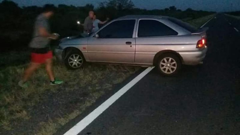 Accidente por animales sueltos en la ruta 60
