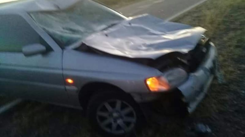 Accidente por animales sueltos en la ruta 60