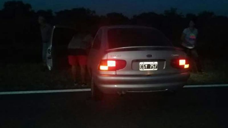 Accidente por animales sueltos en la ruta 60