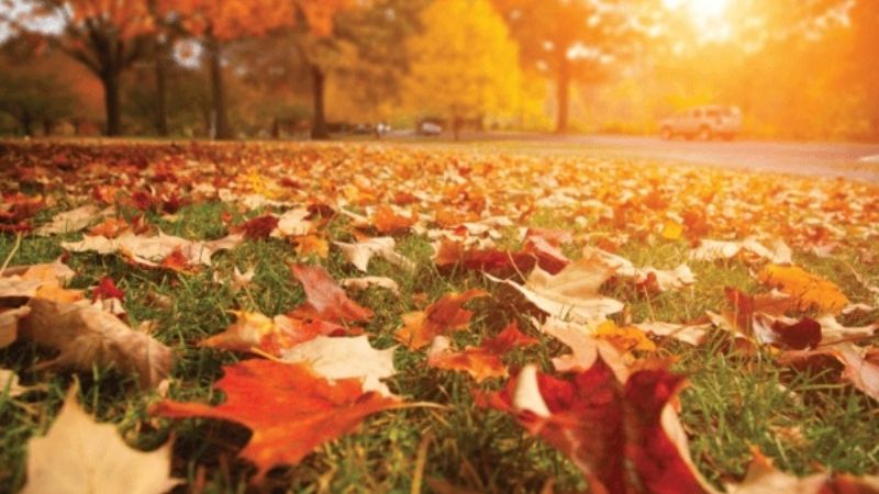 Se despide el verano