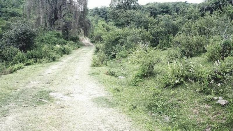 El sábado 31 de marzo se hará el Bike Tour a El Alto