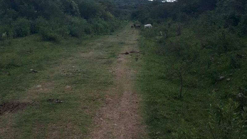 El sábado 31 de marzo se hará el Bike Tour a El Alto