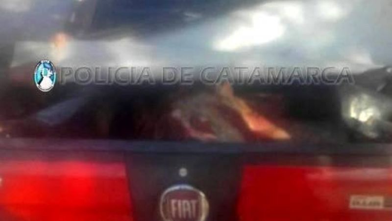 Secuestran carne vacuna en Valle Viejo