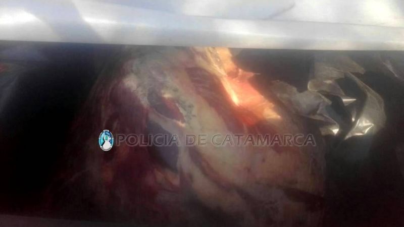 Secuestran carne vacuna en Valle Viejo