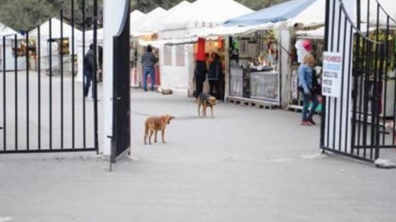 Les cortaron la luz a puesteros de La Gruta que estaban “colgados”