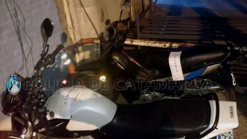 Secuestran 39 vehículos en puestos camineros