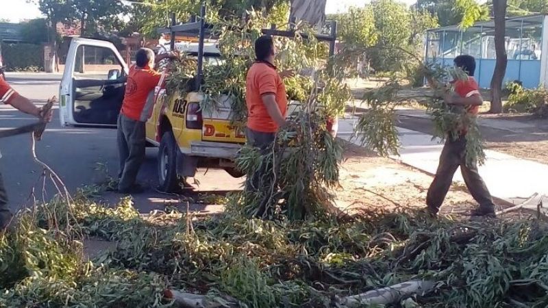 Realizan poda y limpieza en inmediaciones de la Maternidad