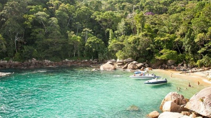 Argentino que viajó a Brasil se contagió de fiebre amarilla