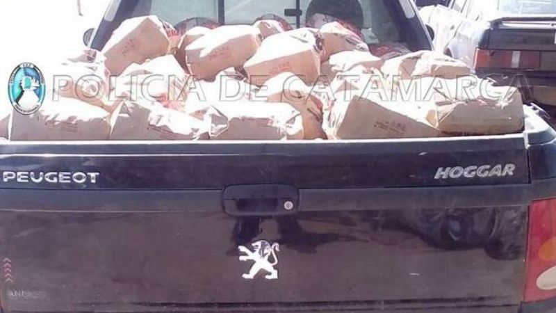 Secuestran gran cantidad carbón