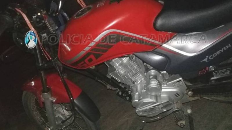 Detenidos por robar dos chanchos