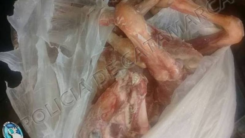 Robaron cabritos de la granja de la Escuela José Cubas