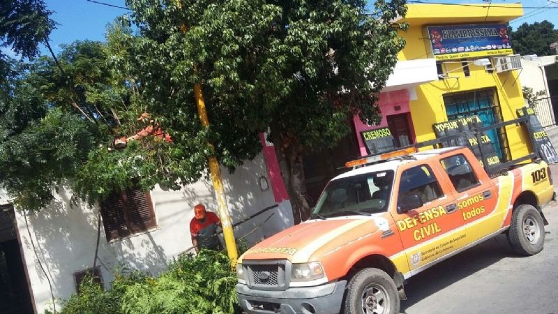 Se cayó un árbol sobre una casa