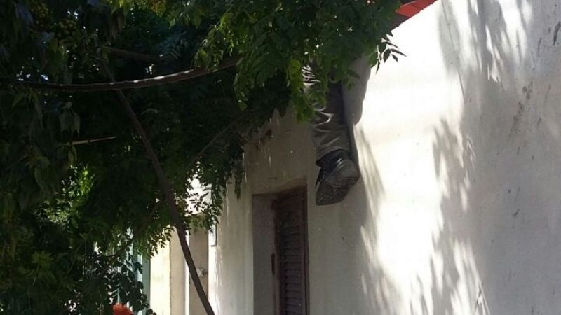 Se cayó un árbol sobre una casa
