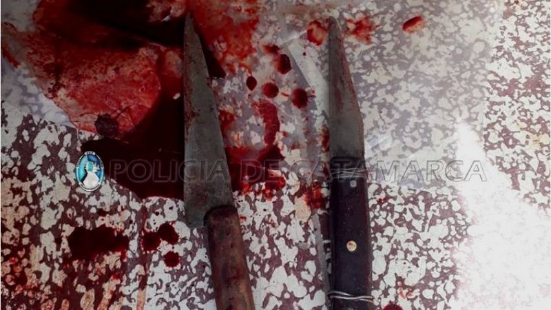 Tres jóvenes mataron animales y los llevaban en el baúl