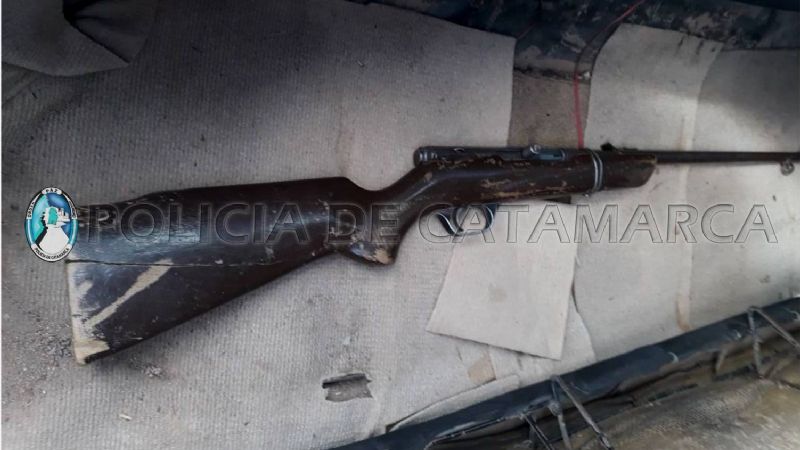 Tres jóvenes mataron animales y los llevaban en el baúl