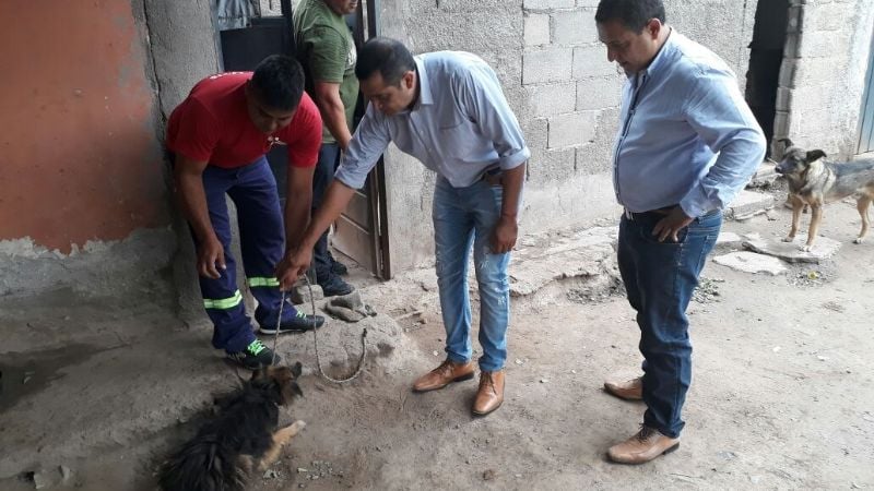 Avanzan con la campaña de vacunación antirrábica