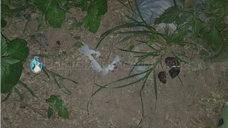 Le descubrieron droga, le pegó a los policías y se escapó