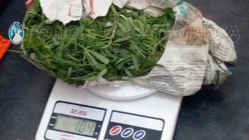 Secuestran 32 vehículos y droga en puestos camineros