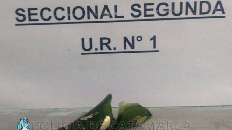 Intentó robar en un kiosco y una casa amenazando con una botella