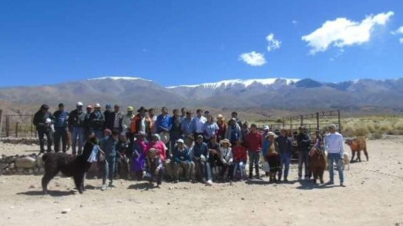 3° Chimpiada de Camelidos y Ovinos en Laguna Blanca
