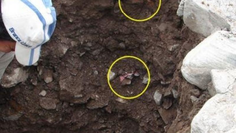 “Reparar las tribunas sería más caro que tirarlas abajo  y hacerlas de nuevo”