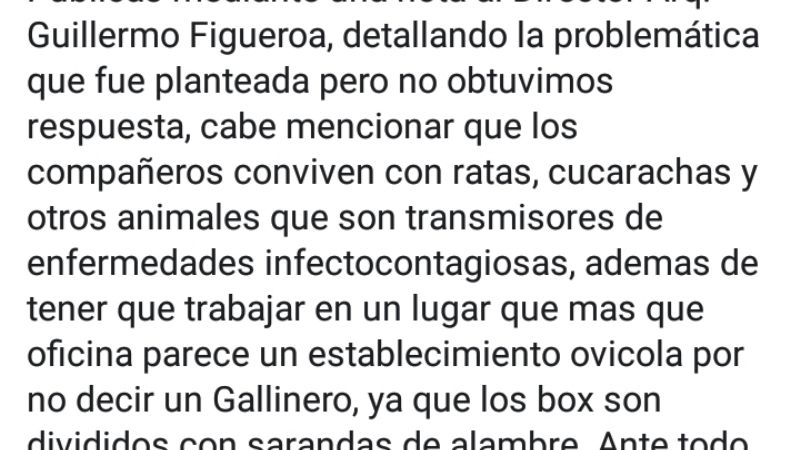 CAPE: denuncian que trabajadores conviven con ratas