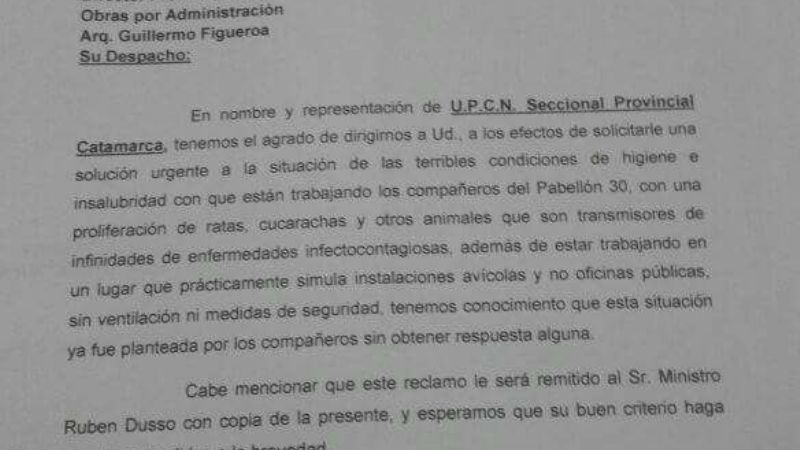 CAPE: denuncian que trabajadores conviven con ratas