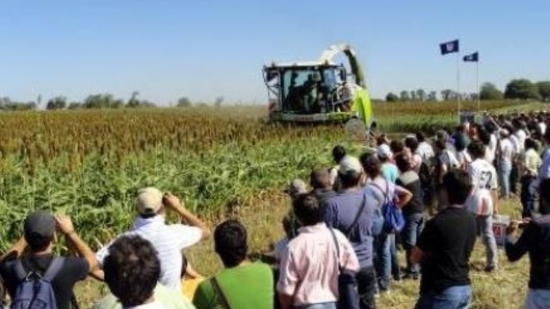 Son más de 20 las empresas inscriptas para Expo Forraje