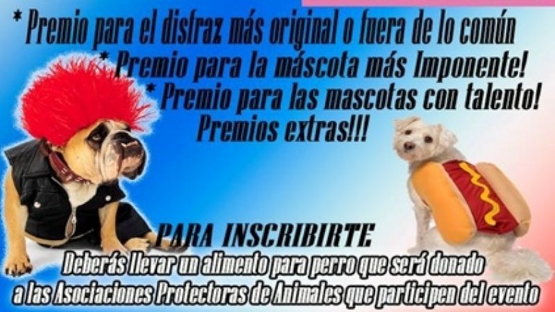 Tradicional desfile de mascotas 2018