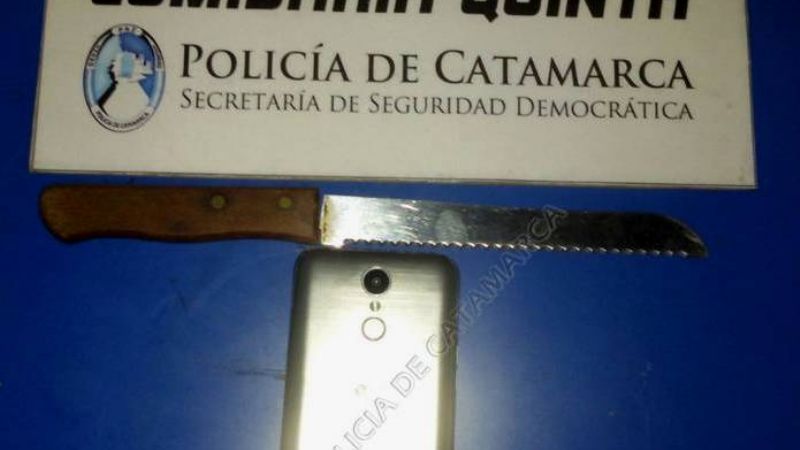 Golpeó a su abuela para robarle el celular e intentó atacar a policías