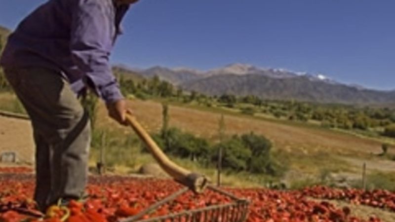 Más de la mitad de las economías regionales están en crisis