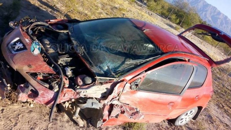 Tres heridos y un auto destrozado tras chocar con un animal en la ruta 40
