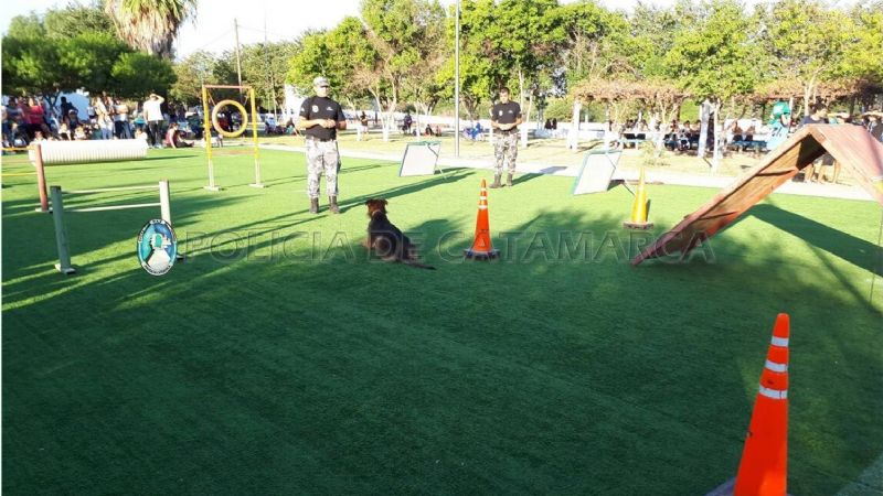 Día del Animal: Exhibición de perros adiestrados de la Policía