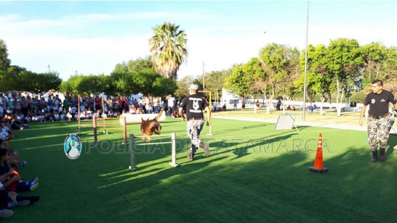 Día del Animal: Exhibición de perros adiestrados de la Policía