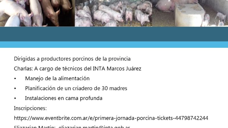 Primera Jornada Porcina