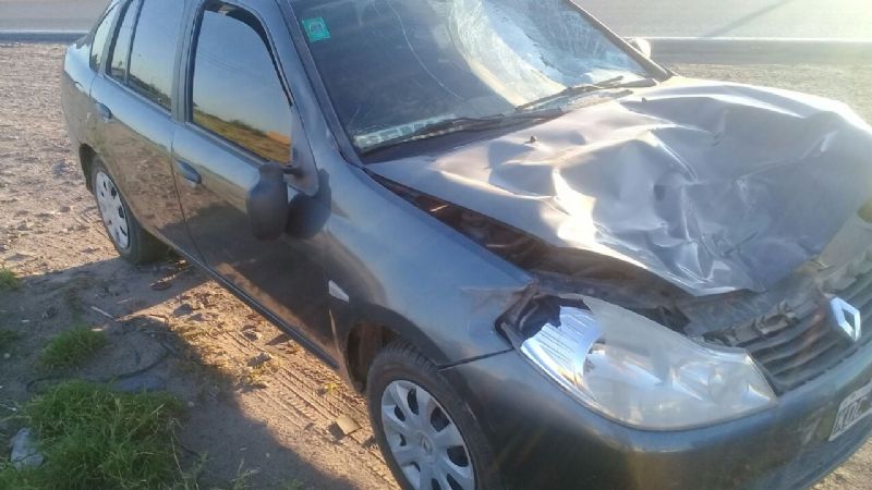 Chocó con animal en la ruta 157