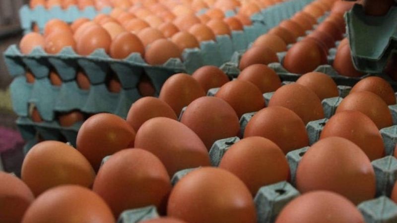 Los huevos aumentaron un 60% y denuncian escasez