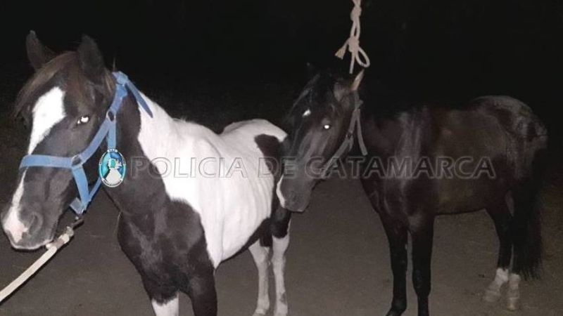 Montaban dos caballos ajenos