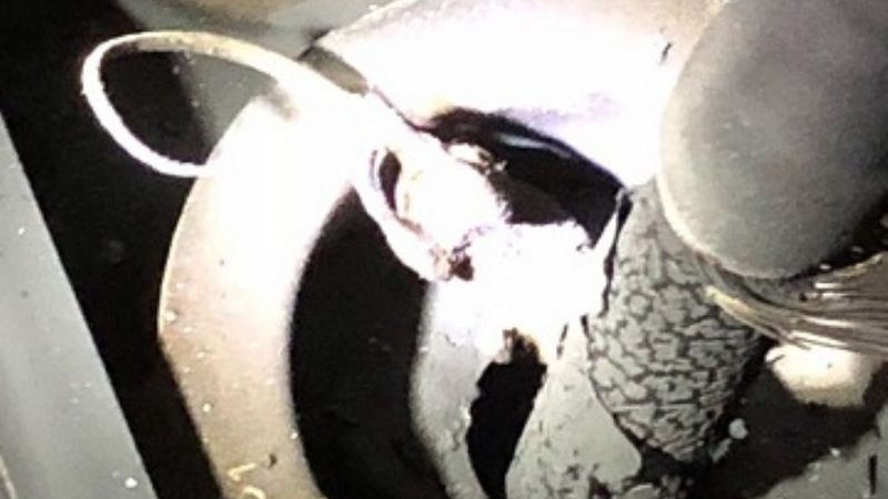 Una rata causó un gran corte de energía