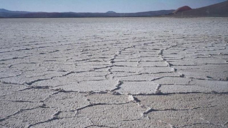 Empresa canadiense explotará yacimientos de litio en Catamarca y Salta