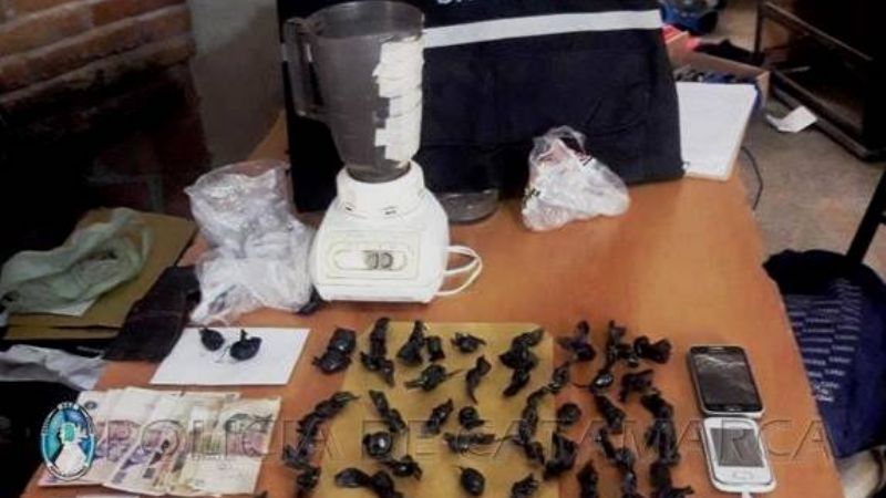 Duro golpe a las drogas en Fiambalá