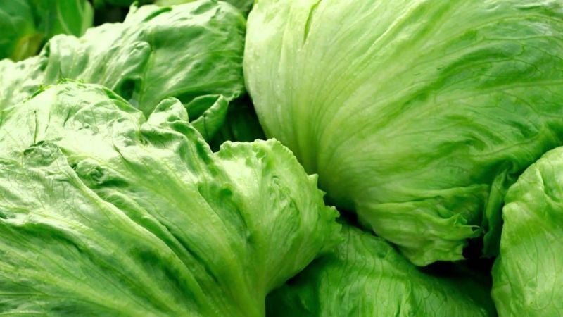 ¿A qué se debe el fuerte aumento de la lechuga?