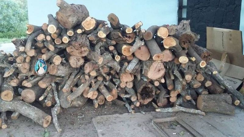 Secuestran media tonelada de leña en un puesto caminero de Capayán