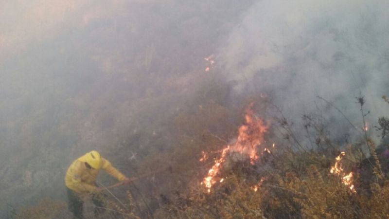 Combaten un incendio en la Cébila