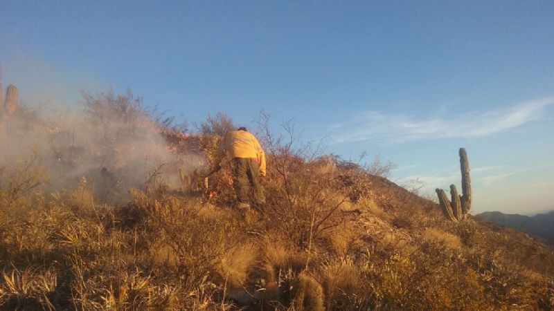 Combaten un incendio en la Cébila