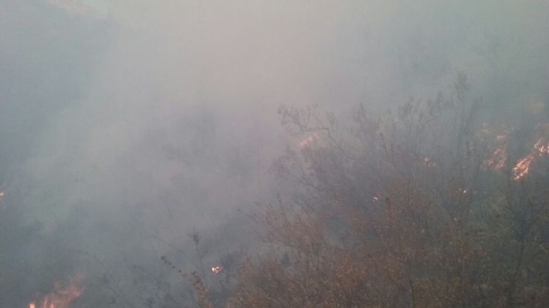 Combaten un incendio en la Cébila