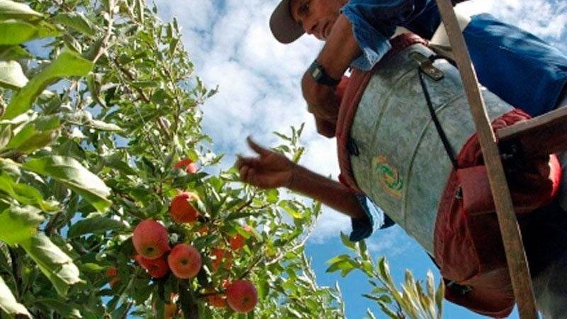 Economías regionales piden tasas y tarifas diferenciales para producir